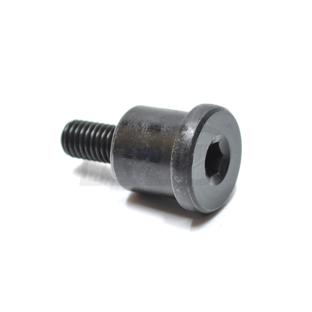 GENUINE HONDA TIMING GUIDE PIVOT BOLT K20 K-SERIES