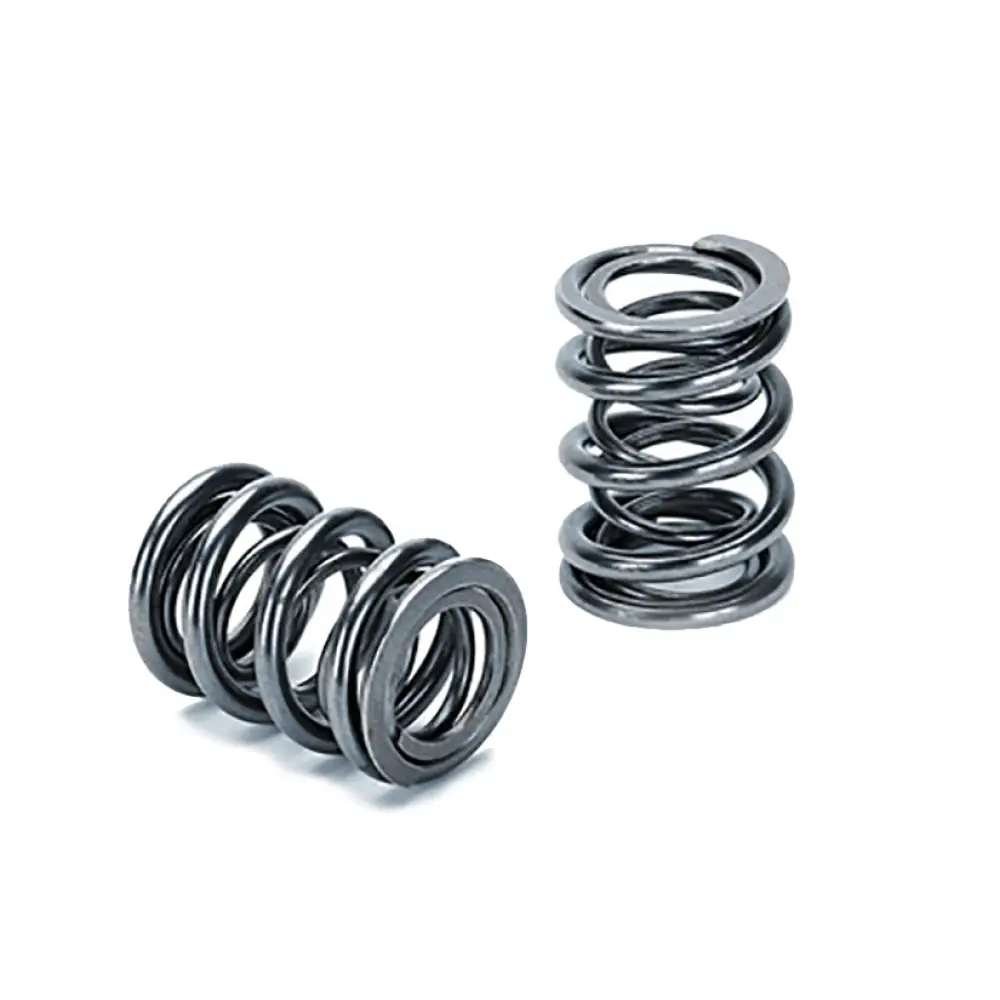 Supertech Dual Valve Spring Honda K20