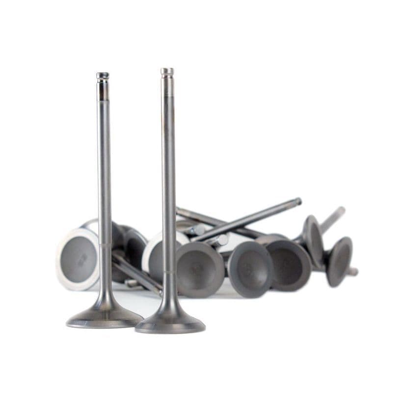 SKUNK2 B-SERIES VTEC ULTRA SERIES VALVES STOCK SIZE STD COMP VALVES