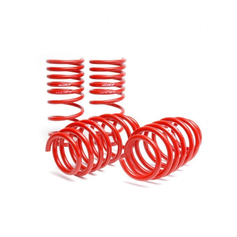 SKUNK2 LOWERING SPRING KIT HONDA CIVIC FN2 06-11