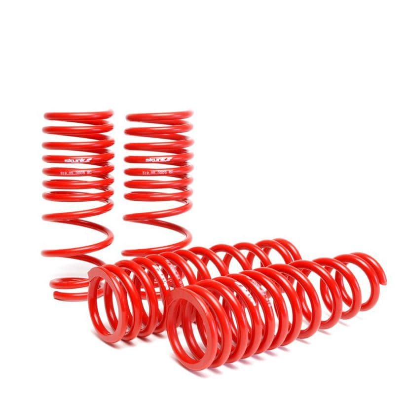 SKUNK2 LOWERING SPRINGS 94-01 HONDA INTEGRA DC2 TYPE R