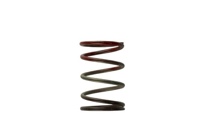 TURBOSMART GEN 4/IWG WG38/40/45/50L 11PSI MIDDLE SPRING - BR
