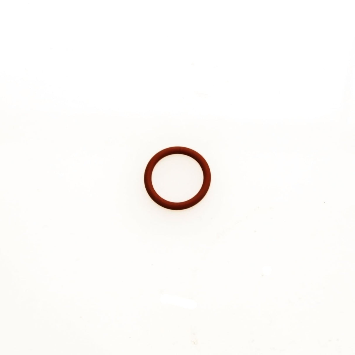 TURBOSMART WG VALVE GUIDE O RING