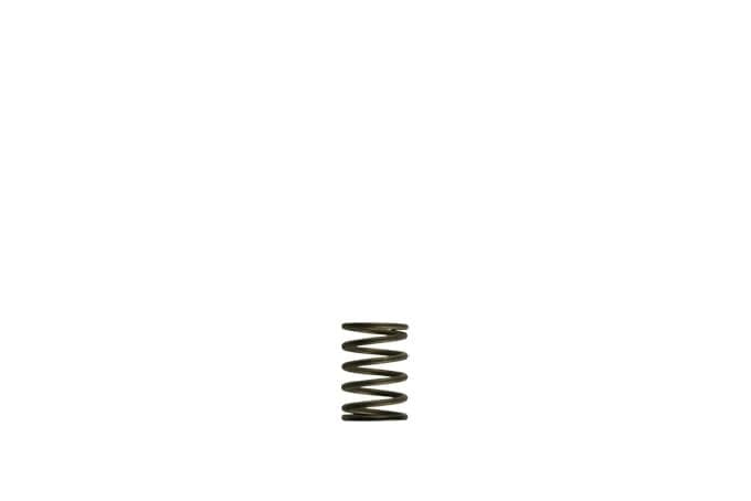 TURBOSMART GEN-V WG38/40 3PSI BLACK INNER SPRING