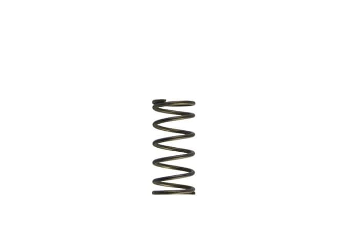 TURBOSMART GEN-V WG60 5PSI PURPLE INNER SPRING